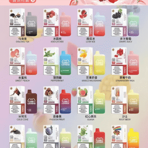 LANA BAR5000口可充电拋棄式一次性電子煙(3.0%)